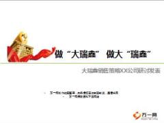 国寿大瑞鑫两全保险销售策略研讨发布11页.ppt