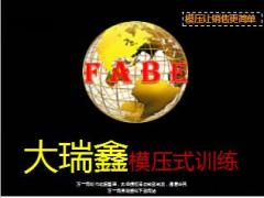 中国人寿大瑞鑫两全保险模压式训练40页.ppt