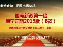 中国人寿康宁定期2013版B款月缴产品介绍32页.ppt