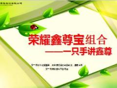 中国人寿一只手讲荣耀鑫尊宝专题16页.ppt