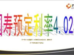 中国人寿预定利率概念及四认知15页.ppt