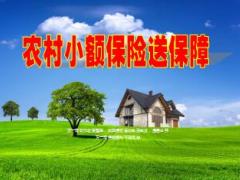 中国人寿农村小额保险开发理赔案例分享28页.ppt
