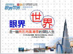 华大回顾2015国际龙奖IDA年会欢迎您25页.ppt