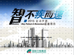 2015青岛世界华人保险大会宣导31页.ppt
