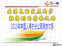 2015年总分公司荣誉体系35页中国人寿.ppt