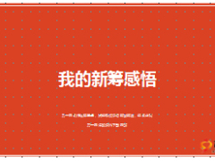 保險(xiǎn)公司籌備新籌感悟13頁(yè).ppt