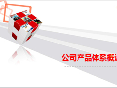 中国人保产寿渠道产品体系概述18页.ppt