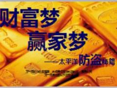 利贏年年理財(cái)說(shuō)明會(huì)太平洋版52頁(yè).ppt