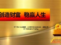 2015年創(chuàng)富一號理財產(chǎn)說會課件陽光人壽版61頁.ppt