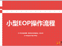 保险公司全员启动小型EOP操作流程6页.ppt