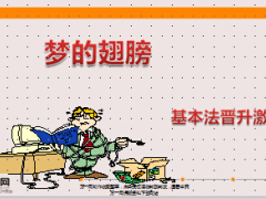 2015年中国人寿基本法晋升激励27页.ppt