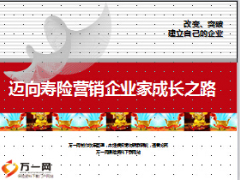 迈向寿险营销企业家成长之路增员晋升中国人寿版62页.ppt