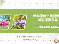 新华人寿保险个险营销员待遇保障基本法宣导30页.ppt