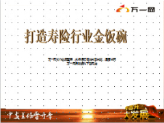 新华人寿寻找剖析打造金饭碗大直辖基本法28页.ppt