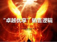 太平卓越优享销售三种逻辑话术29页.ppt