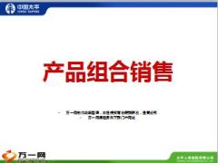 太平人寿产品组合销售功用要点产品组合案例23页.ppt