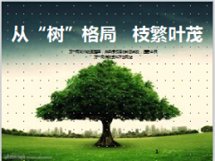 太平洋保险基本法从树格局枝繁叶茂主任层面28页.ppt
