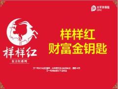 太保东方红系列样样红财富金钥匙34页.ppt