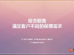 组合销售满足客户不同的保障需求太平洋保险版34页.ppt