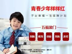 太保青春少年老年配备与讲解16页.ppt