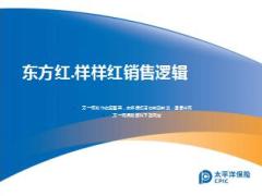 太保东方红样样红销售逻辑23页.ppt