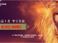 太保样样红新形势新机遇16页.ppt