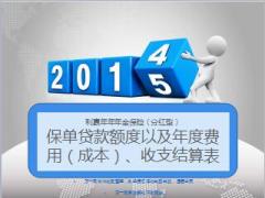 太平洋保险寿险保单贷款额度以及年度费用成本收支结算表12页.ppt