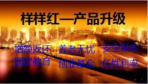 太保样样红产品升级利赢年年介绍宣导16页.ppt
