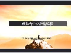 酒會(huì)經(jīng)營(yíng)流程操作話術(shù)演練17頁.ppt