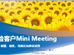 車險客戶MiniMeeting成功運(yùn)作舉辦要點(diǎn)35頁.ppt