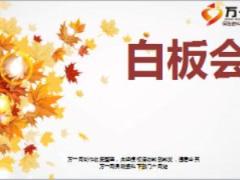 白板會運作操作流程會前會中會后27頁.ppt