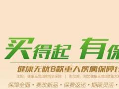新华健康无忧B款重疾单页海报三折页易拉宝.rar