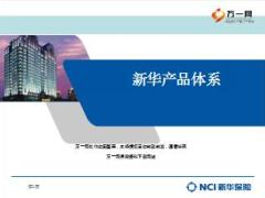 新华人寿热销产品介绍及产品体系文化分类组合82页.ppt