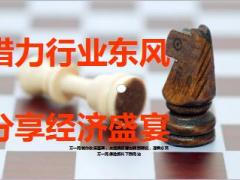 新华盛世赢家年金保险共享公司发展成果27页.ppt