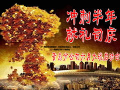冲刺半年六月大战启动会56页.ppt