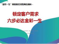 新华人寿锁定客户需求六步必达金彩一生28页.ppt