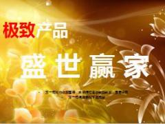 新华人寿盛世赢家年金保险产品启动篇32页.ppt