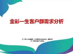 新华人寿金彩一生年金保险客户群分析26页.ppt