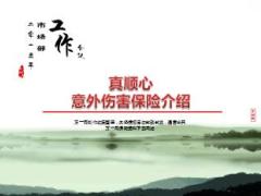 阳光真顺心意外伤害保险产品解析电子保单规则48页.ppt