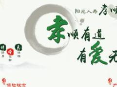 阳光孝顺保防癌疾病保险行辅资料单页海报易拉宝.rar