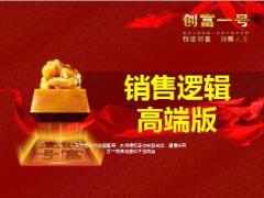阳光人寿创富一号年金保险销售逻辑高端版65页.ppt