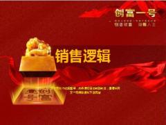 阳光创富一号年金保险销售逻辑中端版22页.ppt