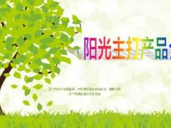 2015新版阳光人寿主打产品介绍78页.ppt