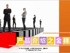 阳光人寿金祥裕综合保障计划培训课件31页.ppt