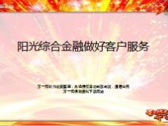 阳光人寿综合金融做好客户服务11页.ppt