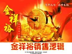 阳光人寿金祥裕综合保障计划销售逻辑53页.ppt