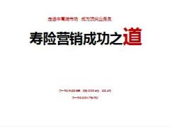 中高端市場壽險營銷成功之道臺灣呂文香分享53頁.ppt