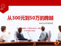 保險精英分享從300元到50萬的跨越17頁.ppt