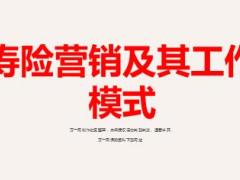 保險意義功用壽險營銷及其工作模式33頁.ppt