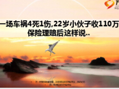 一場(chǎng)4死1傷車禍22歲小伙子收110萬(wàn)15頁(yè).ppt